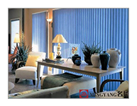 Shanghai Mingyang